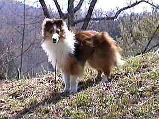 �R���痈���́I(��)