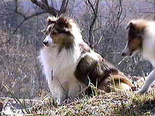 �e�B���V�[������