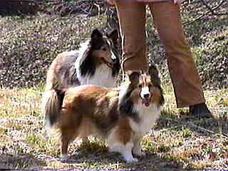 ���ꂵ���ȁ�