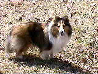 �J�����ڐ��΂�����Id(>_< )GOOD!!