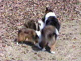 �A�i�^�n�_�A���H