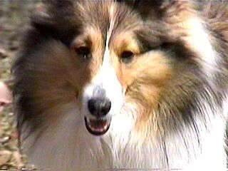 ���l�����