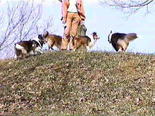 �Ă��؂��ڎw���I