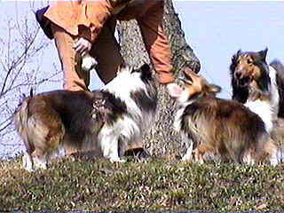 ��т�����납�H�iby�ꂨ�j