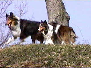 ���b�L�[����Ƃ܂�B