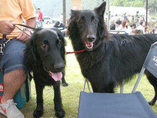 �l�I�������񂿂́A�l�I����ƃT�������B