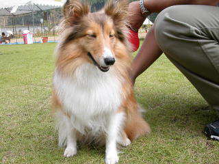 �����l���}�u�V�C�́I