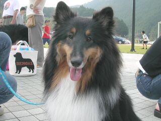 ����̍g��_���Ƃ��g���C��_�L�����f�B�����B