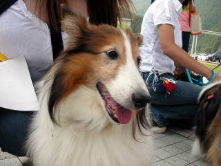 �|�j�[���[��A�����������āI