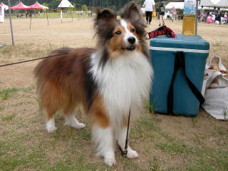 ���肰�Ƀp�p�ڐ��B�B�B