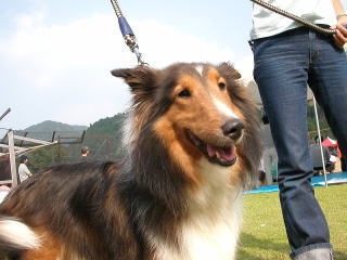 ���b�L�[����B