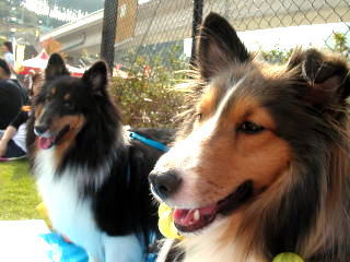 �����l�}�u�V�B�[�I