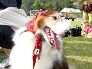 �A�`�B�[�I