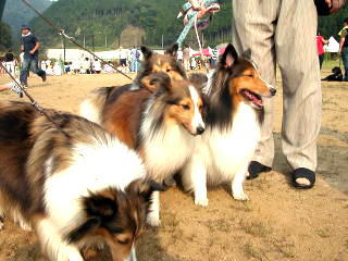 �A�a�B�[�I