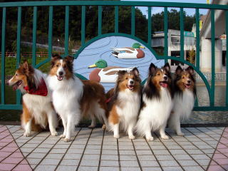 �����͂��肪�Ƃ��B(�K)(�B�B)�y�R�b