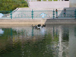 �������Ⴍ�Č����Ȃ���I(T-T)