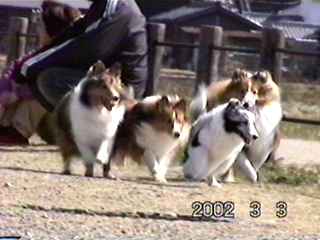 ������A���I������A�ށ[�A���l�����AJIN����B