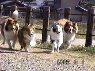 ���l�����́A�o�C�u���[��