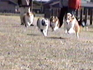 ����I���ł�I