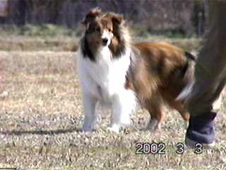 �܂邿���ɂ�������B