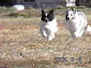 ����`���A�Ƃ��Ă��L���ˁ�