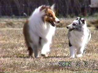 �u���l����`��B�v