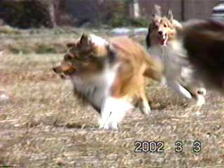 �u���ꂢ���`��v