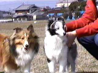 �ށ[�ƃ��l�����B