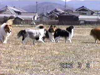 �W���u�����B�v