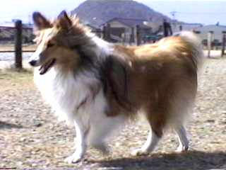 �}������������