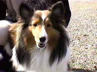 ��`�����y�����ȁ�