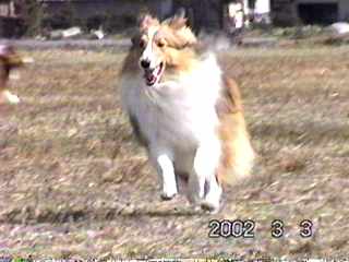 �}�����������A�W�����v��