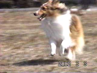 ���������A�҂�`���