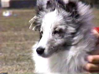 �Ƃ��Ă����l��