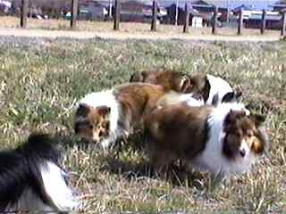 �r����̓h�R���ȁH