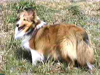 �|�J�|�J���ˁ�