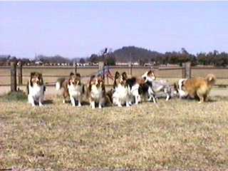 �T�X�K�Ɂ@(^_^�U