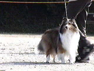 Yumiko���񂿂̃��C����B