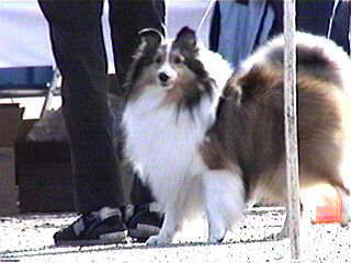 ���������C����B