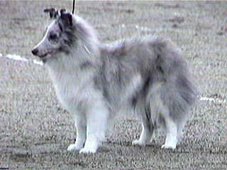 ���l�����f�r���[win���߂łƂ���