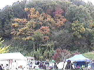 ���̂��R�́A����Ȋ����B