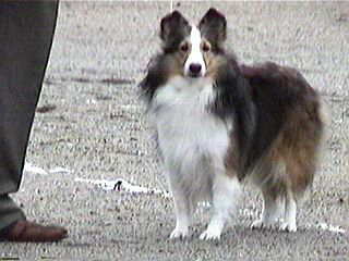 ��J�ł��撣������I