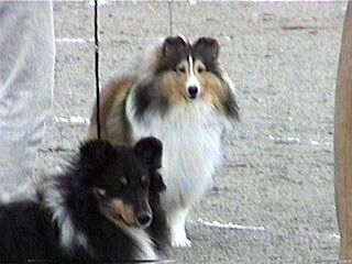 �������A�j�G�X����B