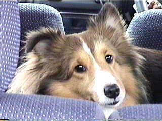 �o���Ă��[�I�iby�ށ[�j