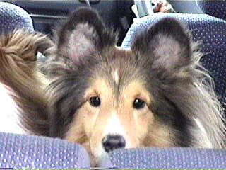 �^�C�N�c�����[�I�iby�ꂨ�j