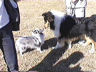 �������T���[�����Ƒ傫�ȃR���[����B