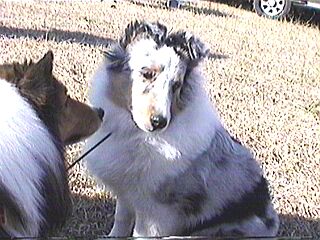 �}�[������i�E�j�Ƃ����̃}�[���B