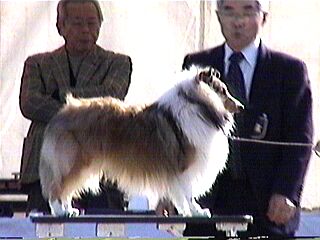 ���������񂿂̃A�j�G�X����B