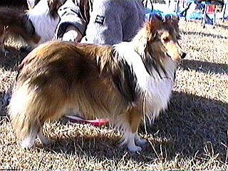 �R�R�����I����˂��E�E�E