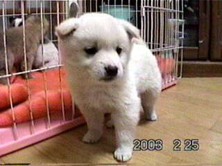 �Ƃ��Ă����C�B